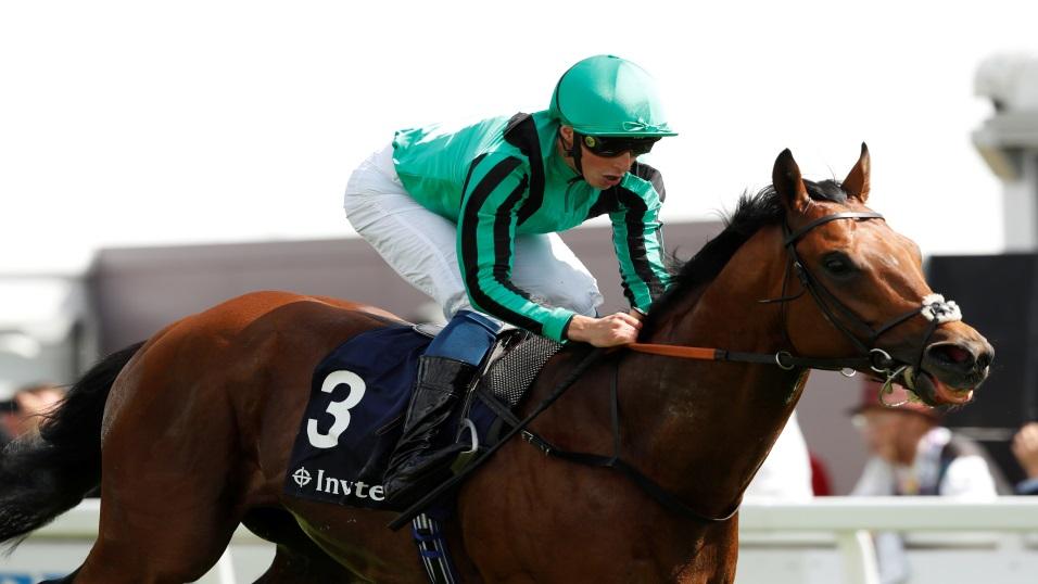 Century Dream in action at Epsom this year